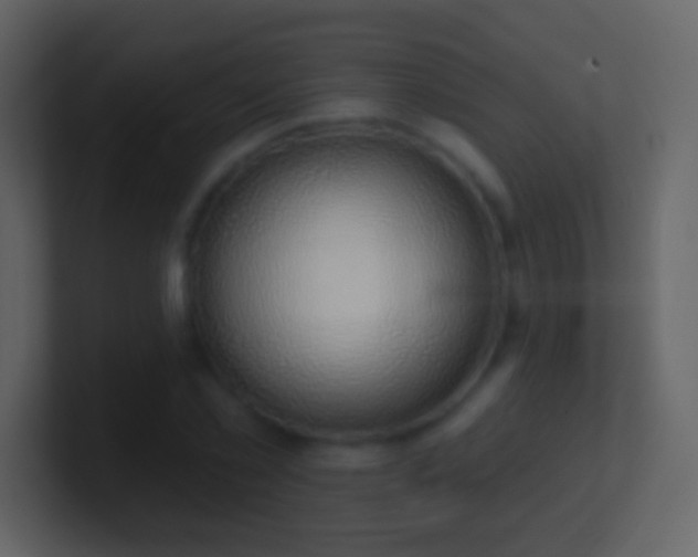 X0000101400781200807071218