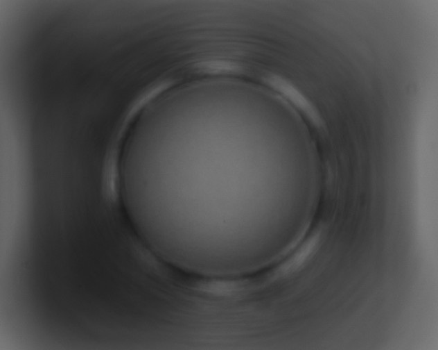 X0000101400782200807071218