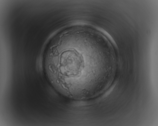 X0000101400783200807071218