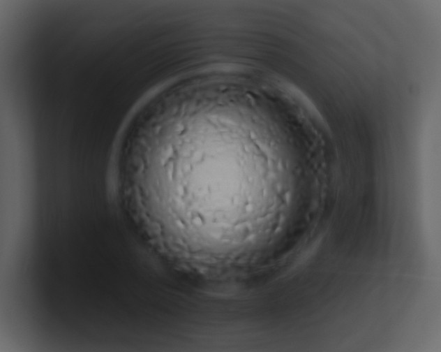 X0000101400784200807071218