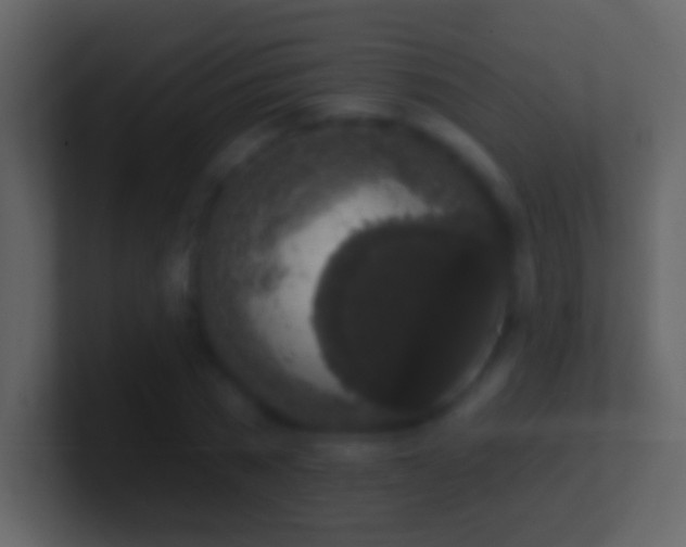 X0000101400785200807071218