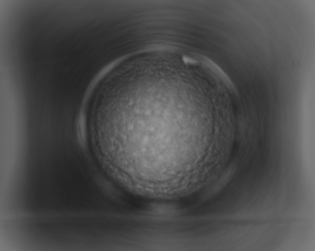 X0000101400788200807071217
