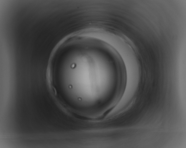X0000101400796200807071217