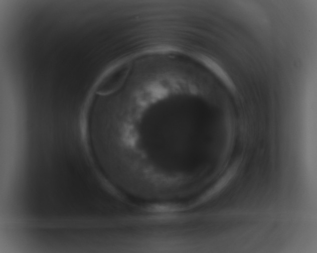 X0000101400797200807071217