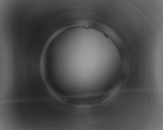 X0000101400800200807071217