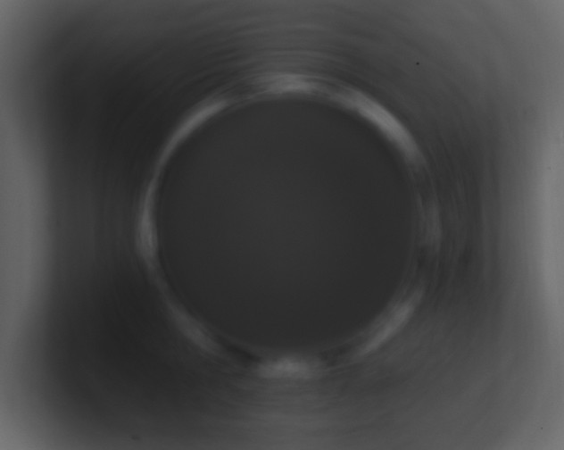 X0000101400806200807071217