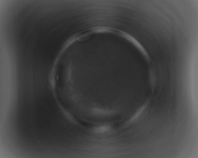 X0000101400810200807071217