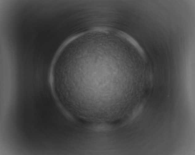 X0000101400811200807071217