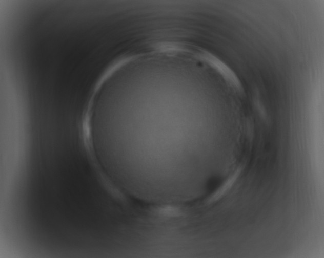 X0000101400814200807071217