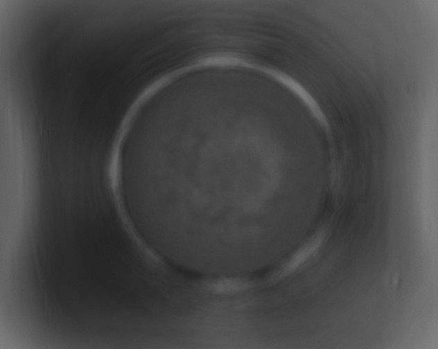 X0000101400815200807071217