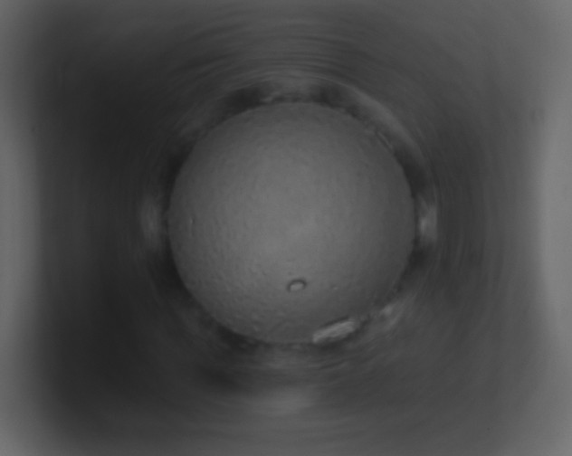 X0000101400819200807071217