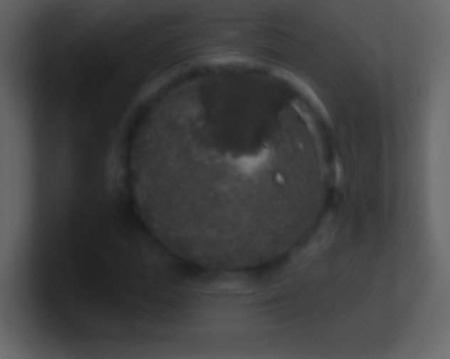 X0000101400823200807071217
