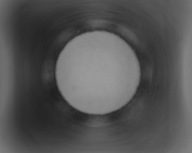 X0000101400824200807071217