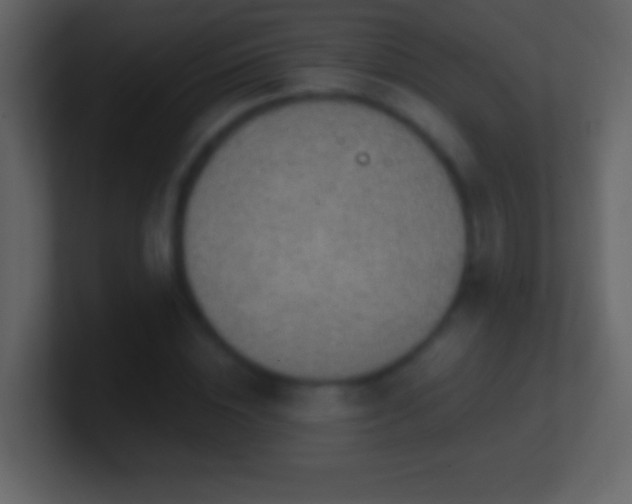 X0000101400828200807071217