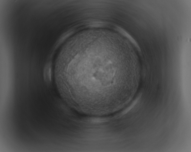 X0000101400829200807071217