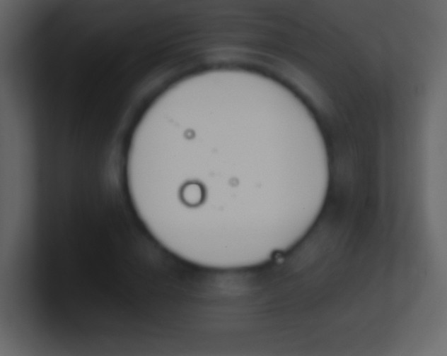 X0000101400832200807071217