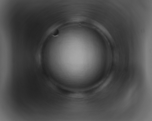 X0000101400834200807071217