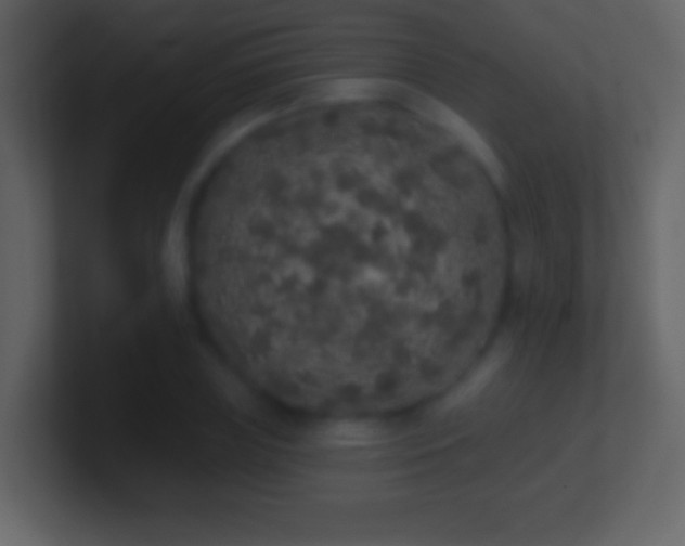 X0000101400835200807071217
