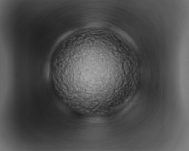 X0000101400838200807071217