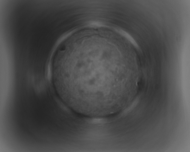 X0000101400839200807071217
