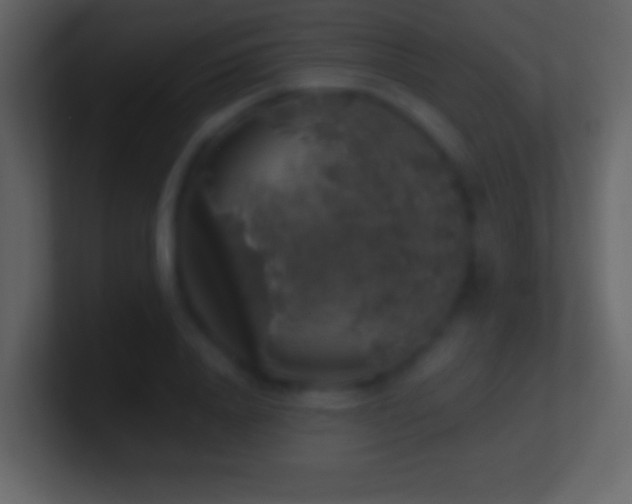 X0000101400840200807071217