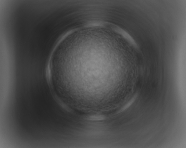 X0000101400844200807071217