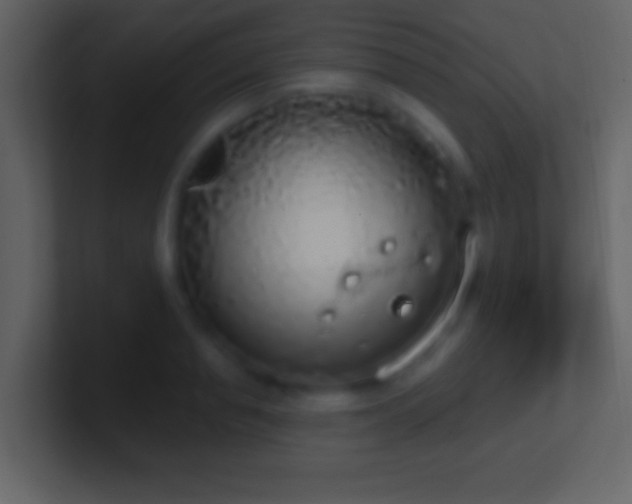 X0000101400845200807071217