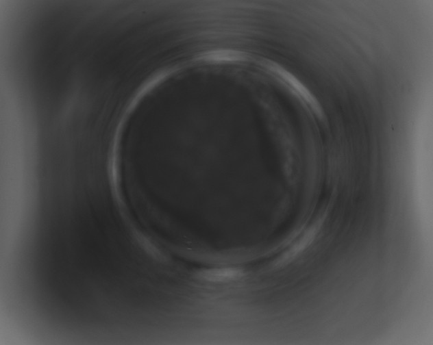 X0000101400853200807071217