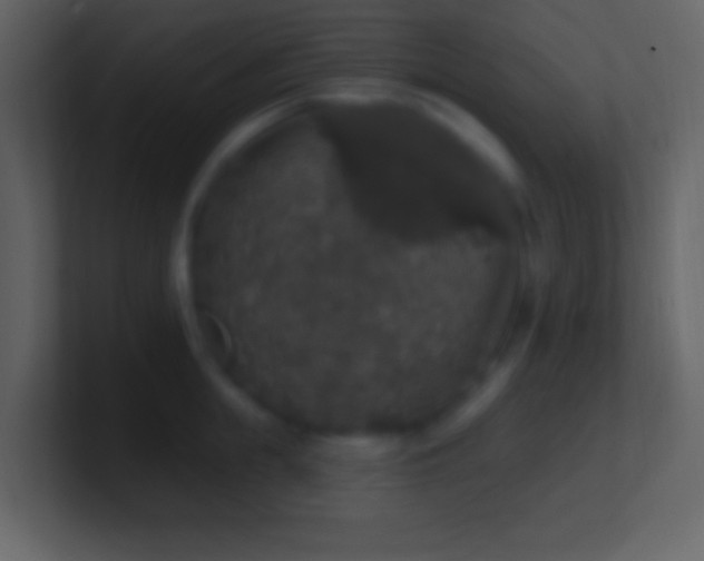 X0000101400855200807071217