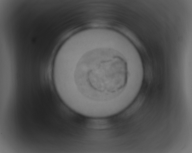 X0000101400856200807071217