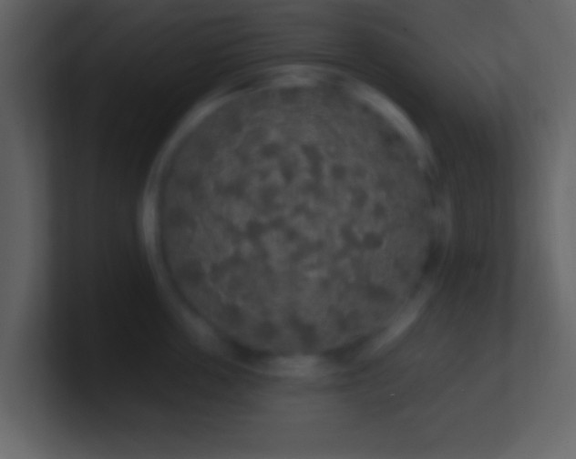 X0000101400859200807071217
