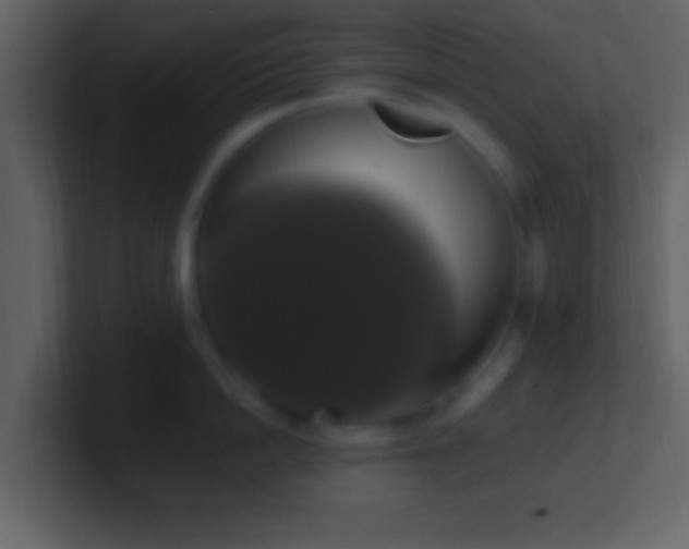 X0000101400862200807071217