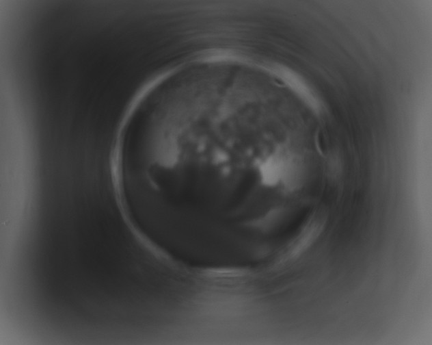 X0000101400863200807071217