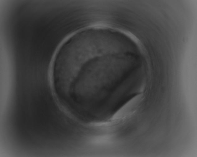 X0000101400864200807071217