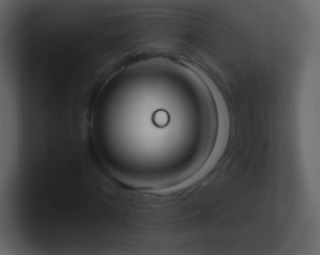 X0000101400868200807071216