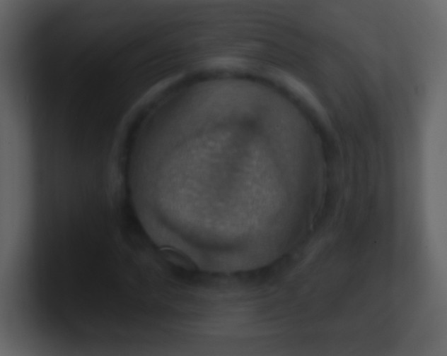 X0000101400872200807071216