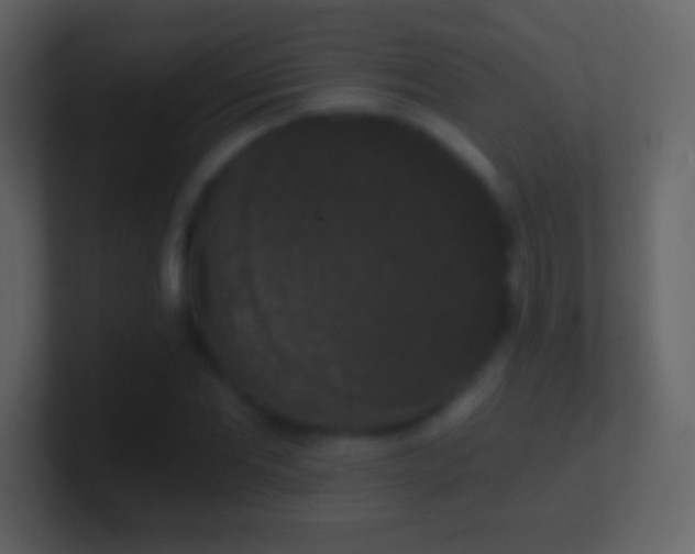 X0000101400877200807071216
