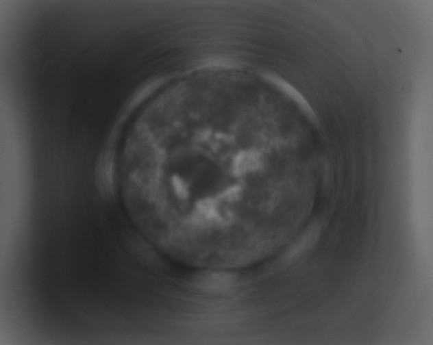 X0000101400878200807071216