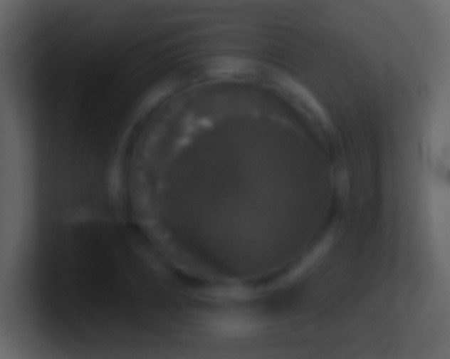 X0000101400882200807071216