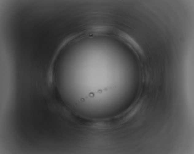 X0000101400883200807071216
