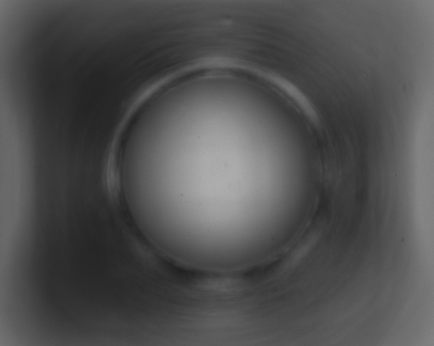 X0000101400887200807071216