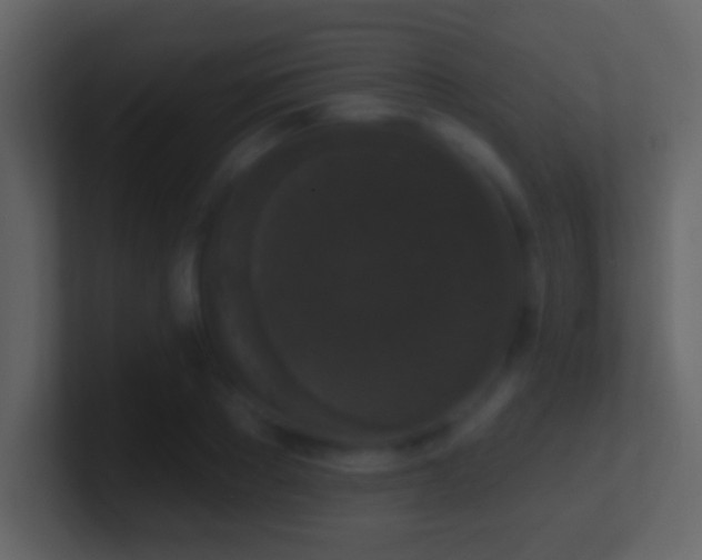 X0000101400889200807071216