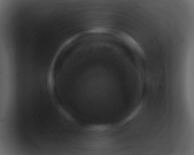 X0000101400892200807071216
