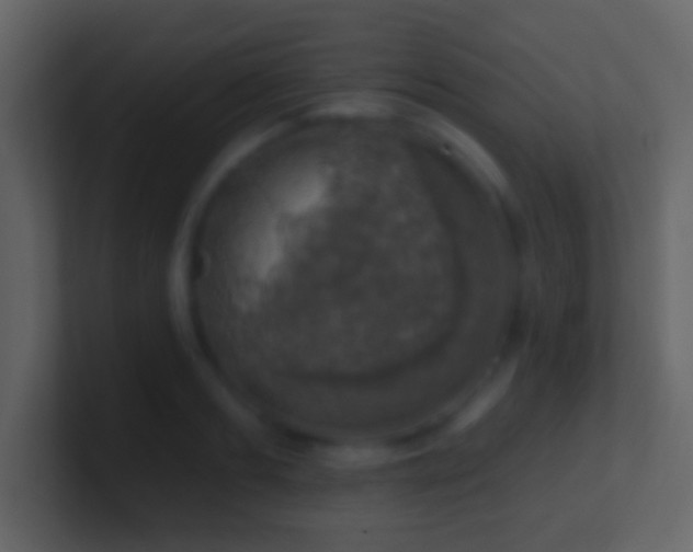 X0000101400893200807071216
