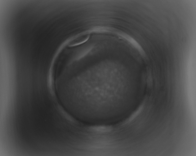 X0000101400896200807071216