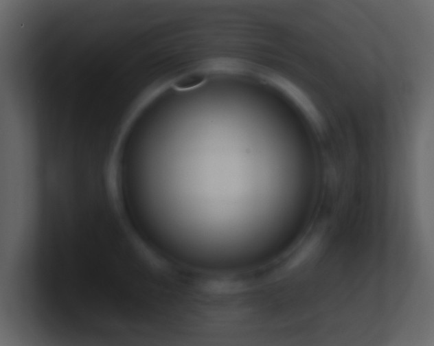 X0000101400901200807071216