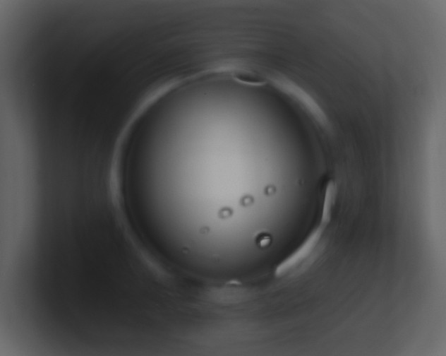 X0000101400902200807071216
