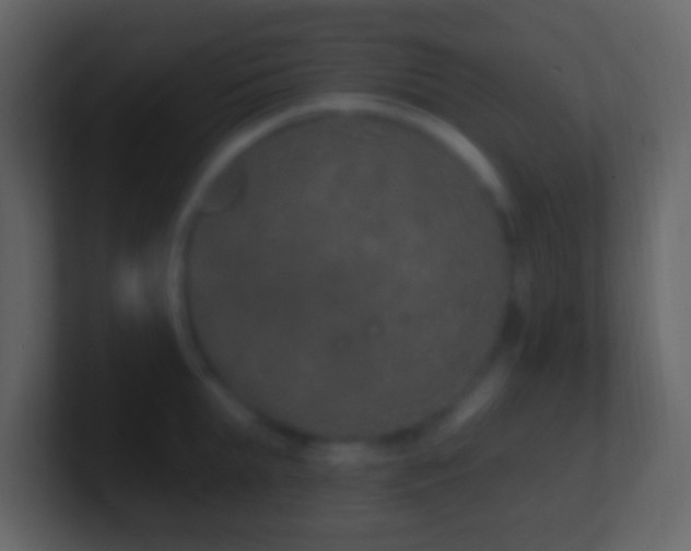X0000101400903200807071216
