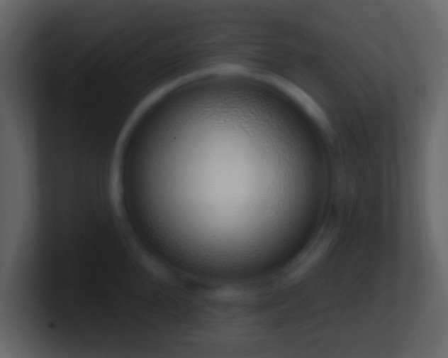 X0000101400904200807071216
