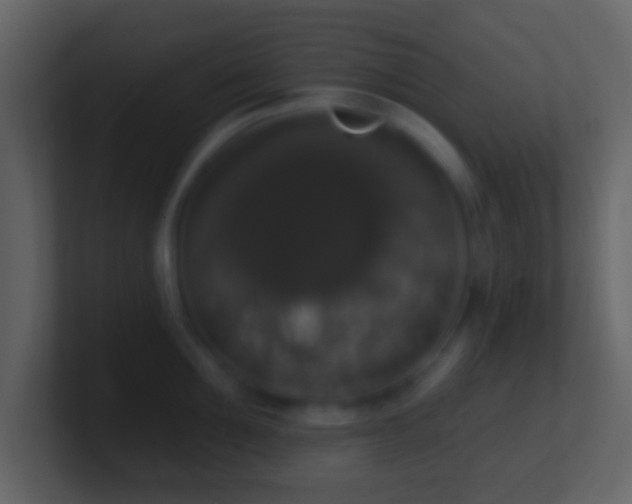 X0000101400907200807071216